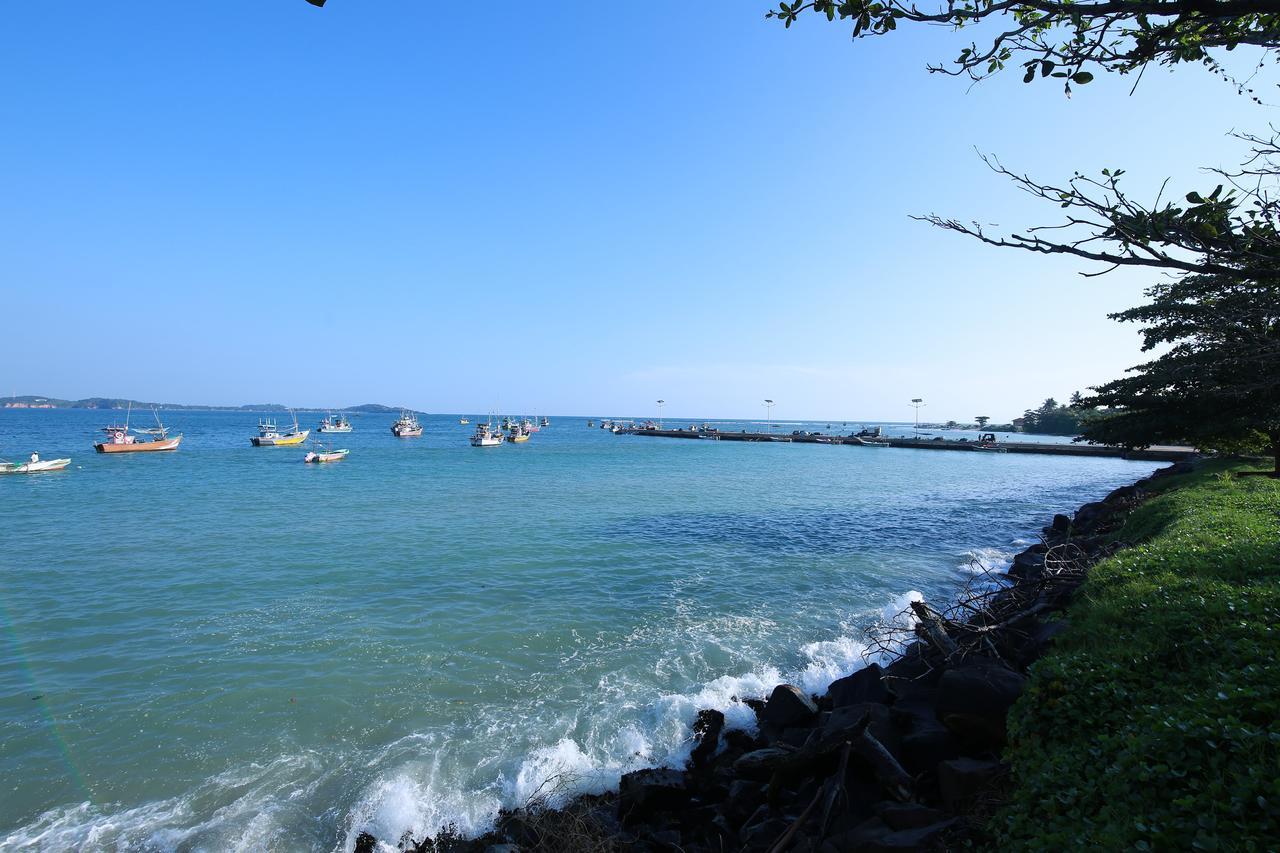 Surf Lavender Resort *